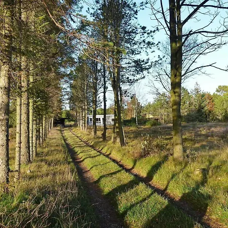 6 Person Holiday In Skagen Hulsig