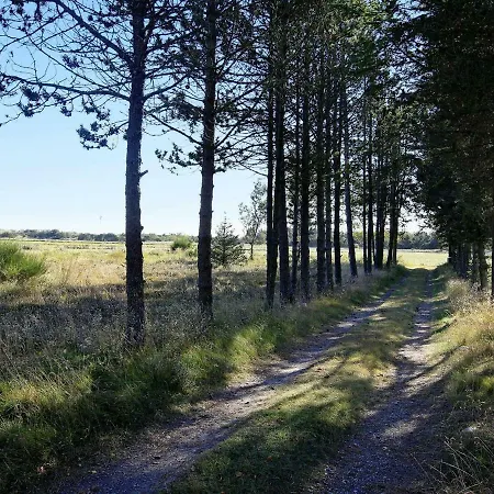 6 Person Holiday In Skagen Feriehus Hulsig